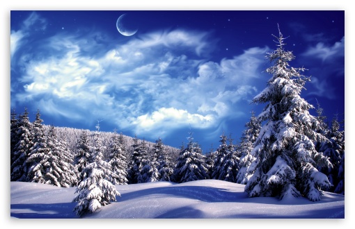 Moonlight Over Snowy Forest UltraHD Wallpaper for Wide 16:10 5:3 Widescreen WHXGA WQXGA WUXGA WXGA WGA ; 8K UHD TV 16:9 Ultra High Definition 2160p 1440p 1080p 900p 720p ; Mobile 5:3 16:9 - WGA 2160p 1440p 1080p 900p 720p ;