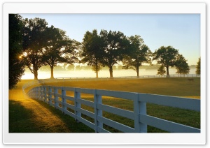 Morning at a Ranch Ultra HD Wallpaper for 4K UHD Widescreen desktop, tablet & smartphone
