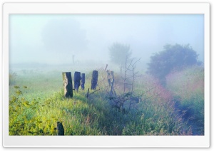 Morning Fog In The Field Ultra HD Wallpaper for 4K UHD Widescreen desktop, tablet & smartphone