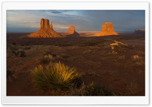 Morning In Utah Desert Ultra HD Wallpaper for 4K UHD Widescreen desktop, tablet & smartphone