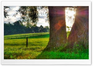 Morning Light, Summer Ultra HD Wallpaper for 4K UHD Widescreen desktop, tablet & smartphone
