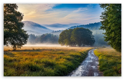 Morning Mist after Rain Digital Art UltraHD Wallpaper for UHD 16:9 ; HD 16:9 ; UltraWide 21:9 24:10 ; Widescreen 16:10 5:3 ; Fullscreen 5:4 3:2 ; Tablet 1:1 ;