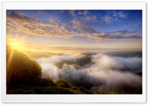 Morning Mist Over The Forest Ultra HD Wallpaper for 4K UHD Widescreen desktop, tablet & smartphone