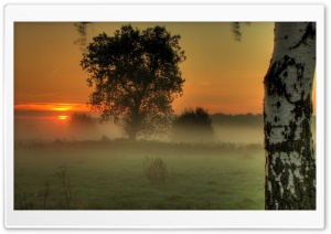 Morning Moment Ultra HD Wallpaper for 4K UHD Widescreen desktop, tablet & smartphone