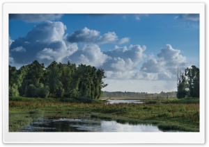 Morning Nature Ultra HD Wallpaper for 4K UHD Widescreen desktop, tablet & smartphone