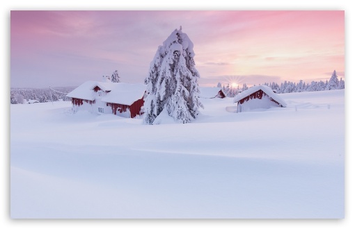 Morning Snow House UltraHD Wallpaper for Wide 16:10 5:3 Widescreen WHXGA WQXGA WUXGA WXGA WGA ; 8K UHD TV 16:9 Ultra High Definition 2160p 1440p 1080p 900p 720p ; Standard 4:3 5:4 3:2 Fullscreen UXGA XGA SVGA QSXGA SXGA DVGA HVGA HQVGA ( Apple PowerBook G4 iPhone 4 3G 3GS iPod Touch ) ; Smartphone 16:9 2160p 1440p 1080p 900p 720p ; Tablet 1:1 ; iPad 1/2/Mini ; Mobile 4:3 5:3 3:2 16:9 5:4 - UXGA XGA SVGA WGA DVGA HVGA HQVGA ( Apple PowerBook G4 iPhone 4 3G 3GS iPod Touch ) 2160p 1440p 1080p 900p 720p QSXGA SXGA ;