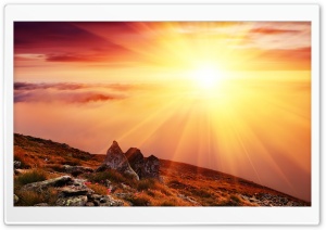 Morning Sun Ultra HD Wallpaper for 4K UHD Widescreen desktop, tablet & smartphone
