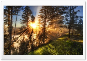 Morning Sunbeams Ultra HD Wallpaper for 4K UHD Widescreen desktop, tablet & smartphone