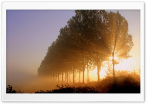 Morning Sunlight Ultra HD Wallpaper for 4K UHD Widescreen desktop, tablet & smartphone