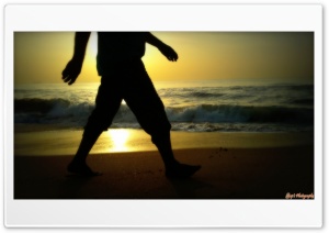 Morning Walk 4K UHD Wallpaper for Widescreen and UltraWide Desktop, UltraHD TV, Smartphone, Tablet