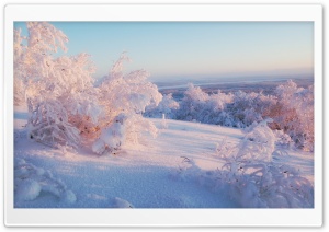Morning Winter Light Ultra HD Wallpaper for 4K UHD Widescreen desktop, tablet & smartphone