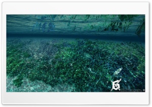 Moss 4K UHD Wallpaper for Widescreen and UltraWide Desktop, UltraHD TV, Smartphone, Tablet