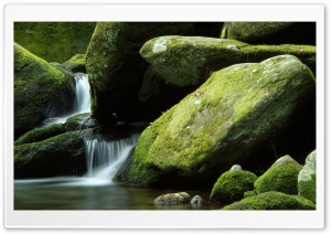 Moss Rocks Ultra HD Wallpaper for 4K UHD Widescreen desktop, tablet & smartphone