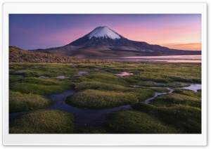 Moss, Snowy Peak Mountain 4K UHD Wallpaper for Widescreen and UltraWide Desktop, UltraHD TV, Smartphone, Tablet