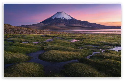 Moss, Snowy Peak Mountain UltraHD Wallpaper for UHD 16:9 ; HD 16:9 ; UltraWide 21:9 24:10 32:9 32:10 ; Widescreen 16:10 5:3 ; Fullscreen 4:3 5:4 3:2 ; Tablet 1:1 ; Mobile 9:16 9:19.5 9:20 9:21 9:22 10:16 2:3 3:5 3:4 ; Dual 16:10 5:3 16:9 4:3 5:4 3:2 ;