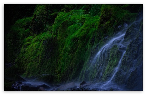 Mossy Rock, Proxy Fall, Oregon UltraHD Wallpaper for UHD 16:9 ; HD 16:9 ; UltraWide 21:9 24:10 32:9 32:10 ; Widescreen 16:10 5:3 ; Fullscreen 4:3 5:4 3:2 ; Tablet 1:1 ; Dual 16:10 5:3 16:9 4:3 5:4 3:2 ;