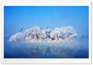Most Beautiful Winter Ultra HD Wallpaper for 4K UHD Widescreen desktop, tablet & smartphone