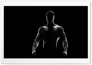 Wallpaper muscle, muscle, rod, background black, muscles, press, gym,  Bodybuilding, bodybuilder, training, abs, weight, bodybuilder images for  desktop, section спорт - download