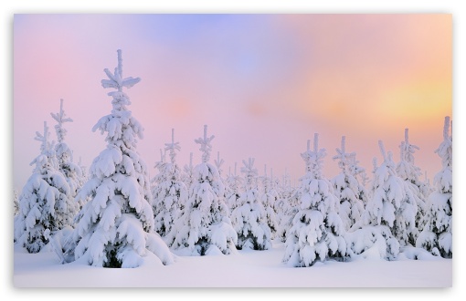 Mount Fichtelberg, Germany UltraHD Wallpaper for Wide 16:10 5:3 Widescreen WHXGA WQXGA WUXGA WXGA WGA ; 8K UHD TV 16:9 Ultra High Definition 2160p 1440p 1080p 900p 720p ; Standard 4:3 5:4 3:2 Fullscreen UXGA XGA SVGA QSXGA SXGA DVGA HVGA HQVGA ( Apple PowerBook G4 iPhone 4 3G 3GS iPod Touch ) ; Tablet 1:1 ; iPad 1/2/Mini ; Mobile 4:3 5:3 3:2 16:9 5:4 - UXGA XGA SVGA WGA DVGA HVGA HQVGA ( Apple PowerBook G4 iPhone 4 3G 3GS iPod Touch ) 2160p 1440p 1080p 900p 720p QSXGA SXGA ;