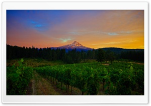 Mount Hood Landscape Ultra HD Wallpaper for 4K UHD Widescreen desktop, tablet & smartphone