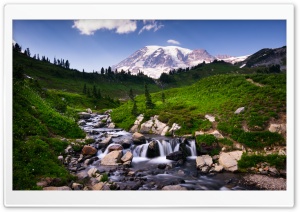 Mount Rainier over Edith Creek Ultra HD Wallpaper for 4K UHD Widescreen desktop, tablet & smartphone