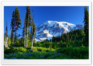 Mount Rainier USA Ultra HD Wallpaper for 4K UHD Widescreen Desktop, Lockscreen, Screensaver, TV, Tablet, Smartphone