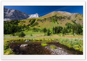 Mountain Creek Spring Ultra HD Wallpaper for 4K UHD Widescreen desktop, tablet & smartphone