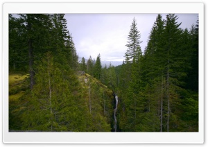 Mountain Forest 5 4K UHD Wallpaper for Widescreen and UltraWide Desktop, UltraHD TV, Smartphone, Tablet