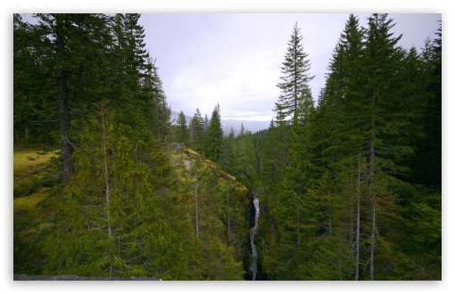 Mountain Forest 5 UltraHD Wallpaper for HD 16:9 ; Widescreen 16:10 5:3 ; Fullscreen 4:3 5:4 3:2 ; Tablet 1:1 ; Mobile 3:5 3:4 ;
