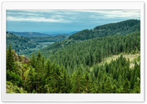 Mountain Forest Landscape 4K UHD Wallpaper for Widescreen and UltraWide Desktop, UltraHD TV, Smartphone, Tablet