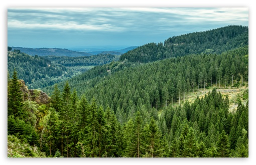 Mountain Forest Landscape UltraHD Wallpaper for UHD 16:9 ; HD 16:9 ; UltraWide 21:9 24:10 ; Widescreen 16:10 5:3 ; Fullscreen 4:3 5:4 3:2 ; Tablet 1:1 ; Mobile 9:16 9:19.5 9:20 9:21 9:22 10:16 2:3 3:5 3:4 ;