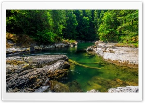Mountain Forest Stream Ultra HD Wallpaper for 4K UHD Widescreen desktop, tablet & smartphone