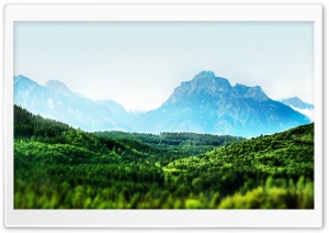 Mountain Forest Tilt-Shift Ultra HD Wallpaper for 4K UHD Widescreen desktop, tablet & smartphone