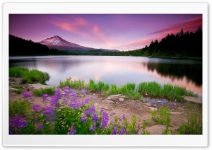 Mountain Lake And Flowers Ultra HD Wallpaper for 4K UHD Widescreen desktop, tablet & smartphone