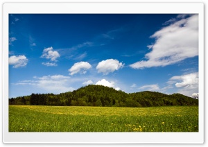 Mountain Meadow Ultra HD Wallpaper for 4K UHD Widescreen desktop, tablet & smartphone