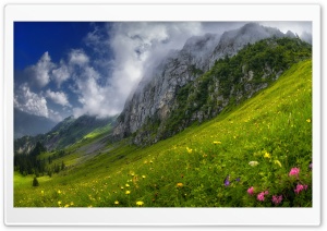 Mountain Meadow Landscape 4K UHD Wallpaper for Widescreen and UltraWide Desktop, UltraHD TV, Smartphone, Tablet