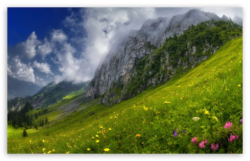 Mountain Meadow Landscape 4K UHD Wallpaper for Widescreen and UltraWide Desktop, UltraHD TV, Smartphone, Tablet Mountain Meadow Landscape UltraHD Wallpaper for UHD 16:9 ; HD 16:9 ; UltraWide 21:9 24:10 ; Widescreen 16:10 5:3 ; Fullscreen 4:3 5:4 3:2 ; Tablet 1:1 ;