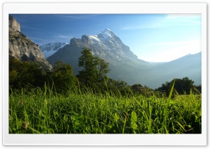 Mountain Pasture 3 Ultra HD Wallpaper for 4K UHD Widescreen desktop, tablet & smartphone