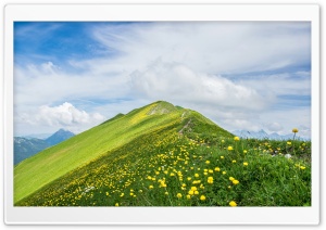 Mountain, Peak, Spring, Yellow Flowers, Wildflowers, Nature, Hike 4K UHD Wallpaper for Widescreen and UltraWide Desktop, UltraHD TV, Laptop, Tablet, Smartphone