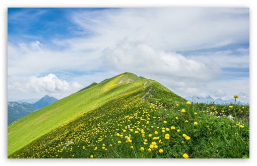 Mountain, Peak, Spring, Yellow Flowers, Wildflowers, Nature, Hike UltraHD Wallpaper for UHD 16:9 ; HD 16:9 ; UltraWide 21:9 24:10 ; Widescreen 16:10 5:3 ; Fullscreen 4:3 5:4 3:2 ; Tablet 1:1 ; Mobile 9:16 9:19.5 9:20 9:21 9:22 10:16 2:3 3:5 3:4 ;
