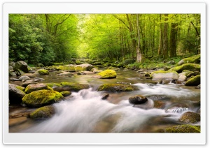 Mountain Stream Ultra HD Wallpaper for 4K UHD Widescreen desktop, tablet & smartphone