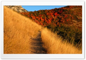 Mountain Trail Ultra HD Wallpaper for 4K UHD Widescreen desktop, tablet & smartphone