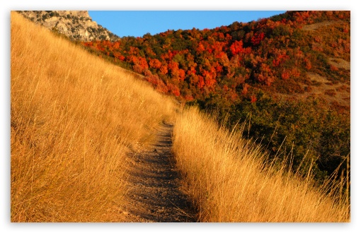 Mountain Trail UltraHD Wallpaper for Wide 16:10 5:3 Widescreen WHXGA WQXGA WUXGA WXGA WGA ; 8K UHD TV 16:9 Ultra High Definition 2160p 1440p 1080p 900p 720p ; Standard 4:3 5:4 3:2 Fullscreen UXGA XGA SVGA QSXGA SXGA DVGA HVGA HQVGA ( Apple PowerBook G4 iPhone 4 3G 3GS iPod Touch ) ; Tablet 1:1 ; iPad 1/2/Mini ; Mobile 4:3 5:3 3:2 16:9 5:4 - UXGA XGA SVGA WGA DVGA HVGA HQVGA ( Apple PowerBook G4 iPhone 4 3G 3GS iPod Touch ) 2160p 1440p 1080p 900p 720p QSXGA SXGA ;