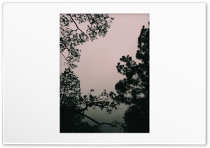 mountain view 4K UHD Wallpaper for Widescreen and UltraWide Desktop, UltraHD TV, Smartphone, Tablet