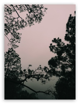 mountain view UltraHD Wallpaper for Mobile 3:4 ;