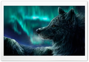 Mountain Wolf Ultra HD Wallpaper for 4K UHD Widescreen desktop, tablet & smartphone