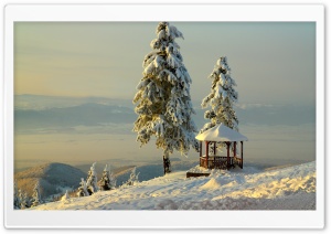 Mountains Bellevue Ultra HD Wallpaper for 4K UHD Widescreen desktop, tablet & smartphone