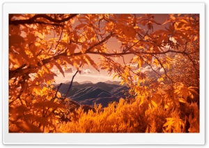Mountains Framed by Autumn Tree Branches 4K UHD Wallpaper for Widescreen and UltraWide Desktop, UltraHD TV, Smartphone, Tablet