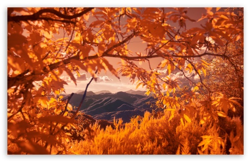 Mountains Framed by Autumn Tree Branches UltraHD Wallpaper for UHD 16:9 ; HD 16:9 ; UltraWide 21:9 24:10 32:9 32:10 ; Widescreen 16:10 ; Fullscreen 3:2 ; Tablet 1:1 ; Mobile 9:16 9:19.5 9:20 9:21 9:22 ; Dual 16:10 16:9 ;