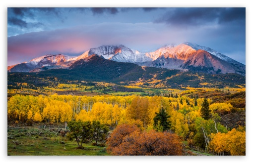 Mountains, Landscape, Autumn, Yellow Aspens UltraHD Wallpaper for UHD 16:9 ; HD 16:9 ; UltraWide 21:9 24:10 32:9 32:10 ; Widescreen 16:10 5:3 ; Fullscreen 4:3 5:4 3:2 ; Tablet 1:1 ; Mobile 9:16 9:19.5 9:20 10:16 2:3 3:5 3:4 ; Dual 16:10 5:3 16:9 4:3 5:4 3:2 ;